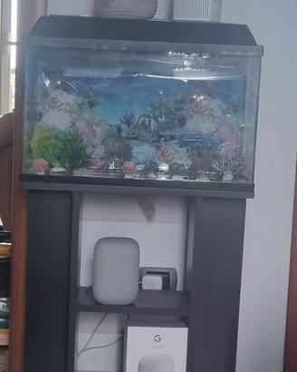 acquario