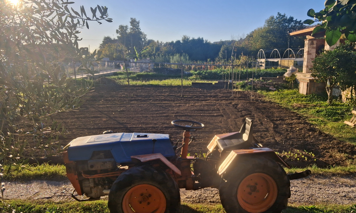 Trattore agricolo, carraro goldoni