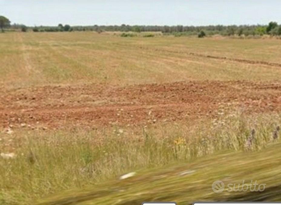 Terreno agricolo in strada Castiglione Spongano - Vista 2
