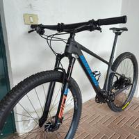 Santa Cruz - Highball C - 2023