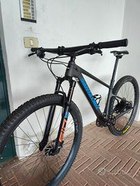 Santa Cruz - Highball C - 2023