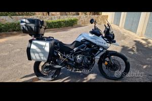 tiger 800 xcx