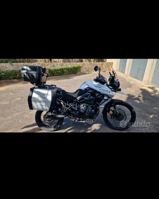 tiger 800 xcx