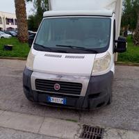 FIAT ducato cassonato con frigo 