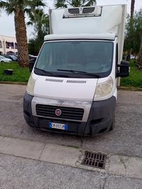 FIAT ducato cassonato con frigo 
