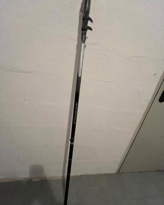 Canna bolognese daiwa amorphous 7/6 mt