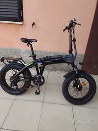 e-bike fat