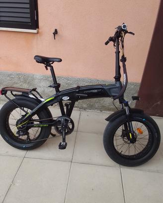 e-bike fat