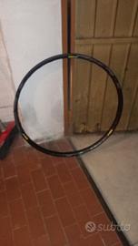cerchio mavic