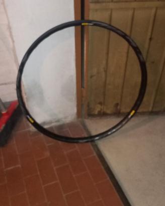 cerchio mavic