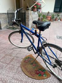 Bicicletta Schiano da città