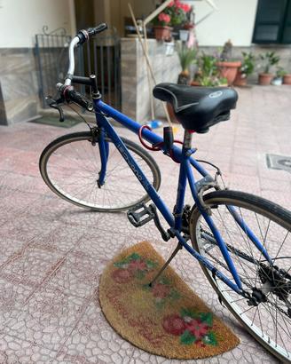 Bicicletta Schiano da città