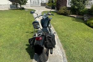 Honda shadow