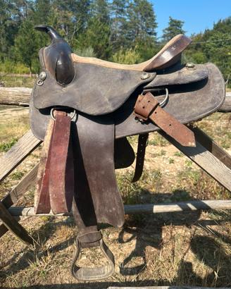 2 selle western