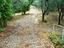 Immagine 19