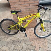 bicicletta ruota da 24