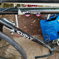 Surly cross check