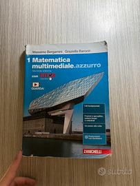 Matematica multimediale.azzurro 1 Zanichelli