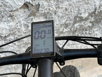 Fat bike elettrica
