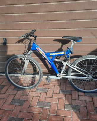 bicicletta montuain bike