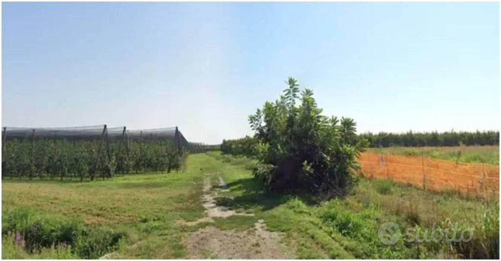 Immobile in asta di 34902 m² a Lagnasco - Vista 3