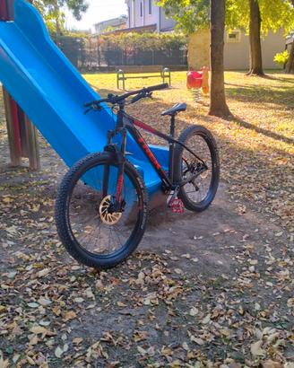 Trek roscoe 7