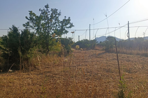 Terreno agricolo 4300mq