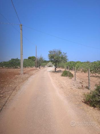 TER. AGRICOLO A CAROVIGNO