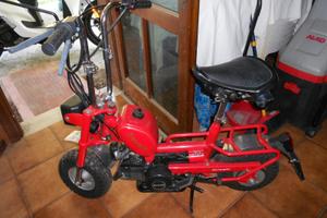 benelli city bike