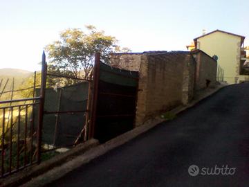 Rustico centro paese con piccolo terreno
