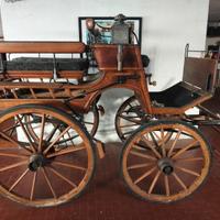 Carrozza cavalli 