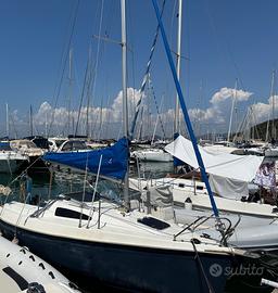 Barca a vela Viko 20