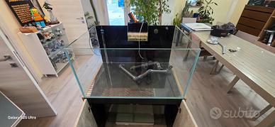 acquario marino/dolce