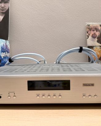 Amplificatore hi fi Rotel A11 Tribute