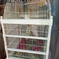 Gabbia decorativa shabby