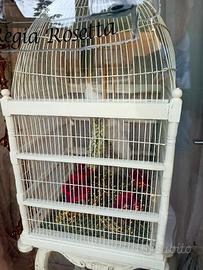 Gabbia decorativa shabby