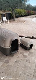 casetta / cuccia per cani 