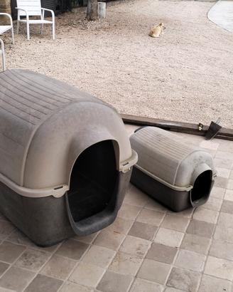 casetta / cuccia per cani 