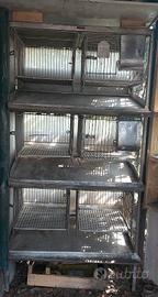 gabbia  per allevamento conigli  in acciaio inox