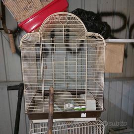 Gabbie per uccelli