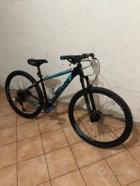 Mtb Bianchi