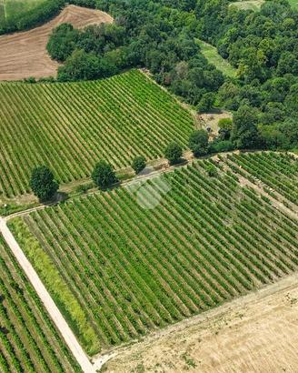 TER. AGRICOLO A CALVAGESE DELLA RIVIERA