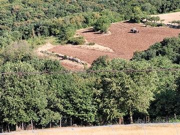 Campi in Valpolicella