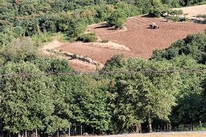 Campi in Valpolicella