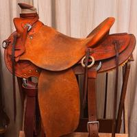 Sella americana Wade Freckers 16’’