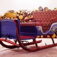 ? Slitta storica trainata da cavalli, dipinta a m