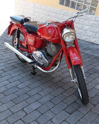 GUZZI LODOLA GT 235