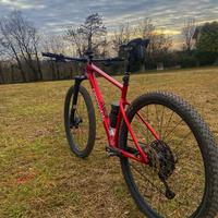 Cannondale Scaplel ht - 11/23