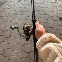 Canna rapture ryzer trout area