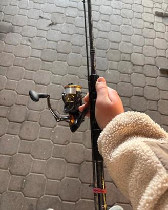 Canna rapture ryzer trout area